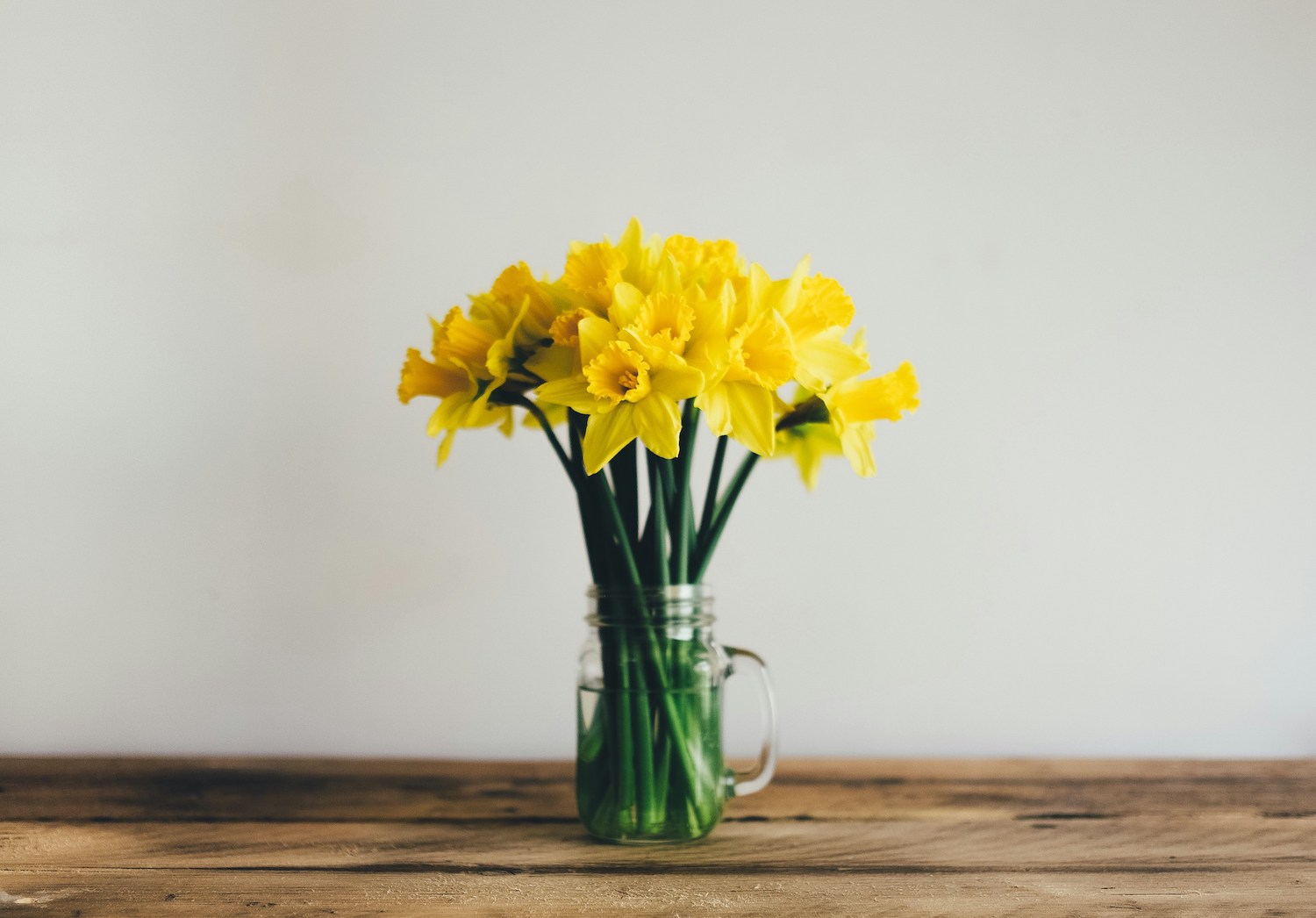 Daffodils in vase on table spring