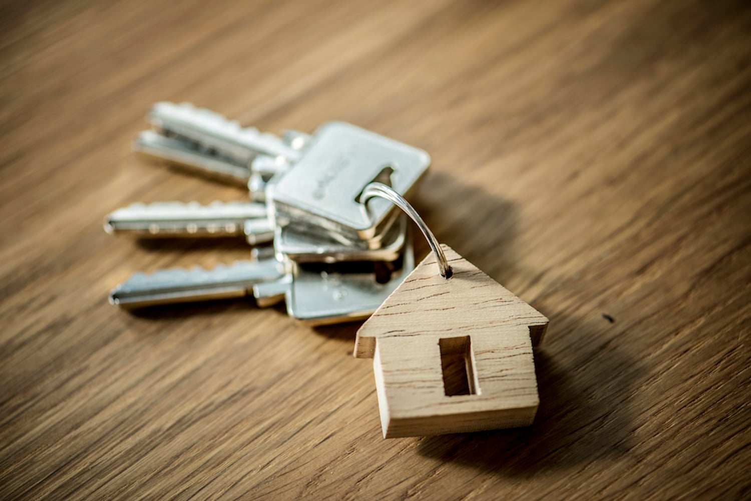 property keyring with house